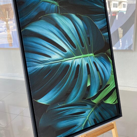 Quadro Canvas Folhas