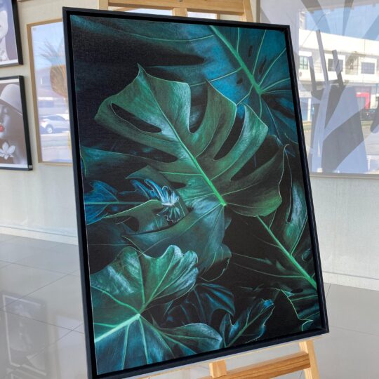 Quadro Canvas Folhas
