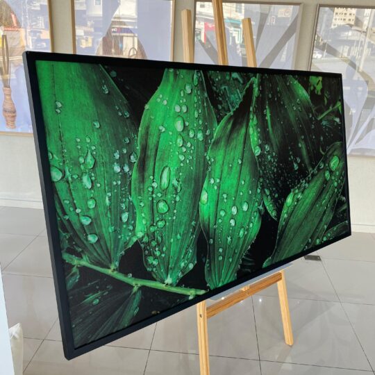 Quadro Canvas 70x150