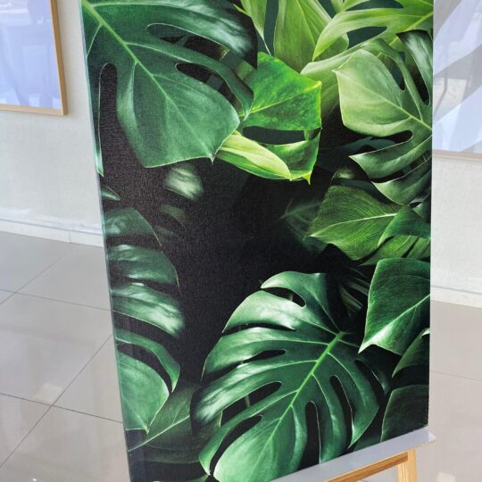 Quadro Canvas Folhas 50x70