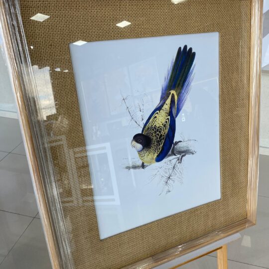 Quadro com vidro 63x73