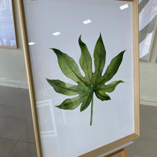 Quadro com vidro 63x83