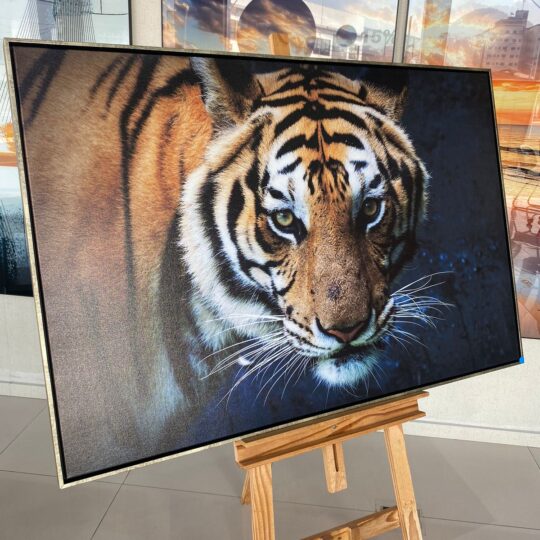 Quadro Tigre Canvas 120x80