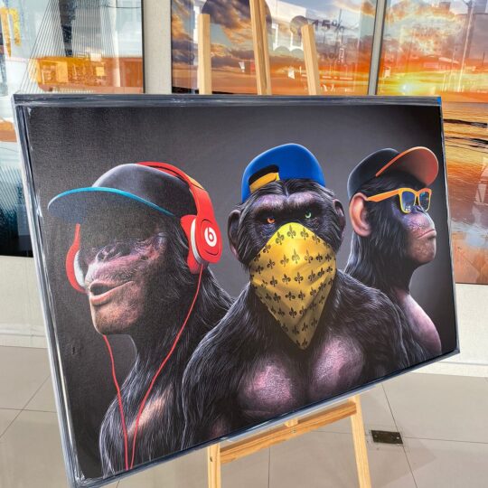 Quadros Macacos 120x80