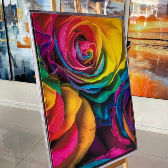 Quado Rosa Colorida 60x90