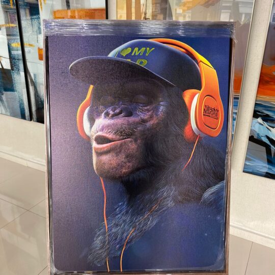 Quadro Canvas Macaco