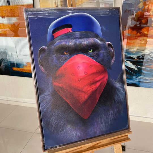 Quadro Canvas Macaco