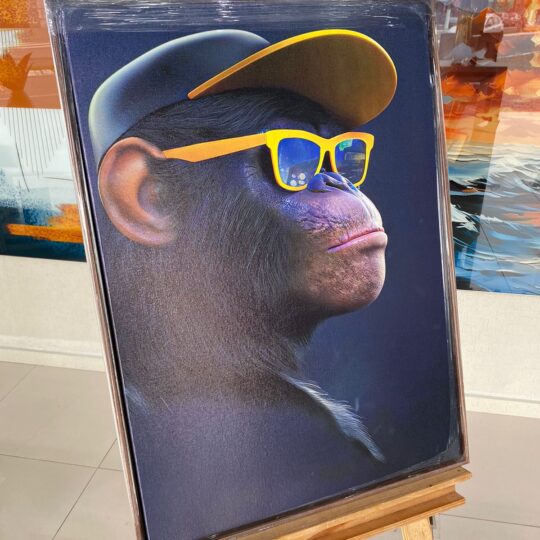 Quadro Canvas Macaco