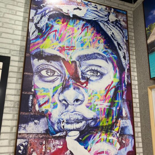 Quadro Canvas Mulher Pop Art